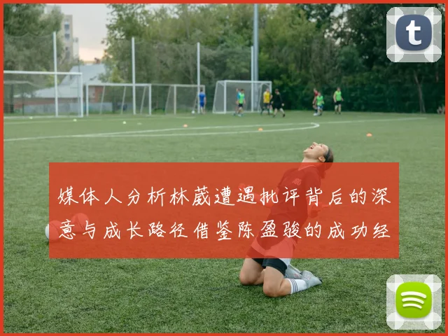 媒体人分析林葳遭遇批评背后的深意与成长路径借鉴陈盈骏的成功经验
