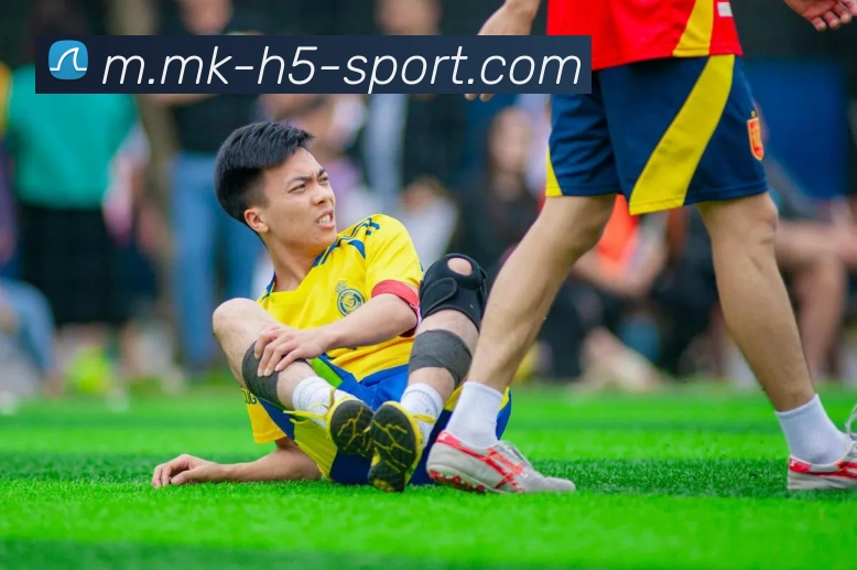 多媒体互动体验