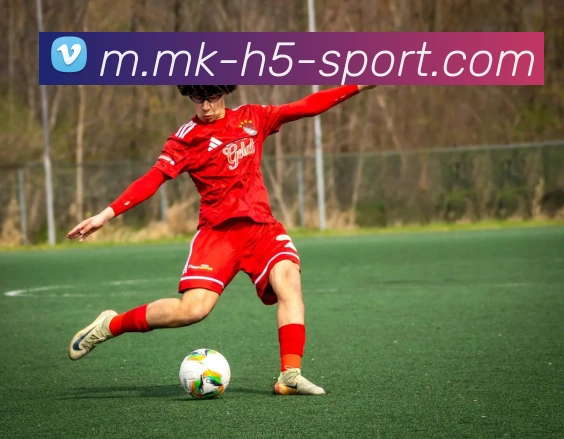 MK体育APP 高清赛事图